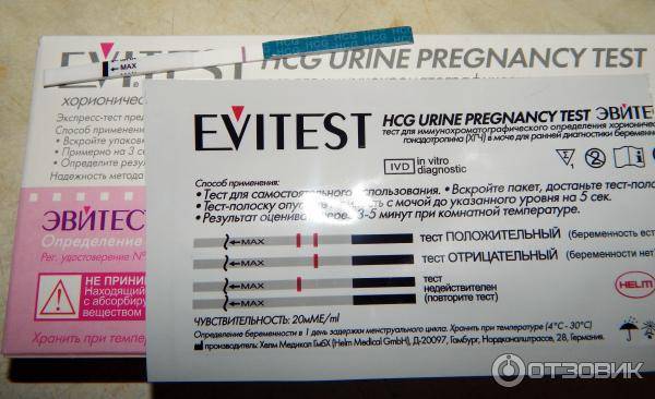 Как использовать evitest и другие тесты на беременность, какой стороной опускать их в мочу?