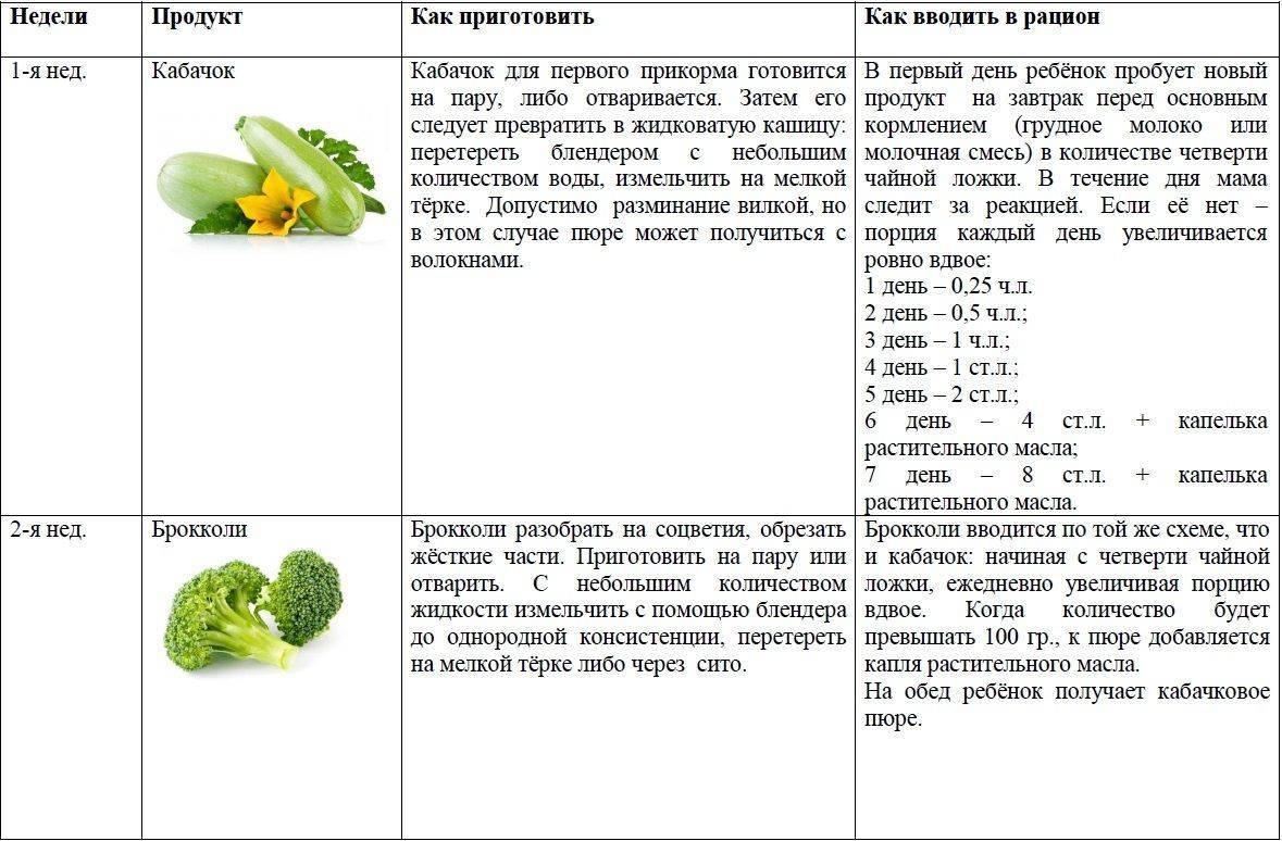 Как варить кабачок | сколько варить кабачок