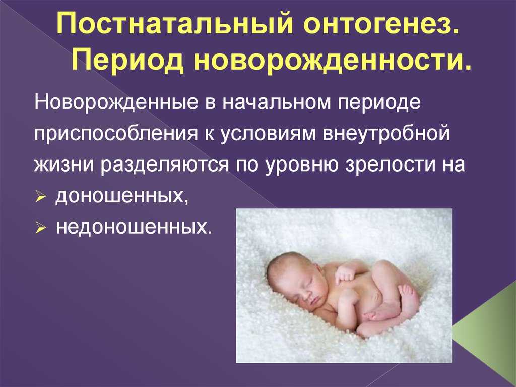 Антенатальный и неонатальный период. доношенный новорожденный презентация