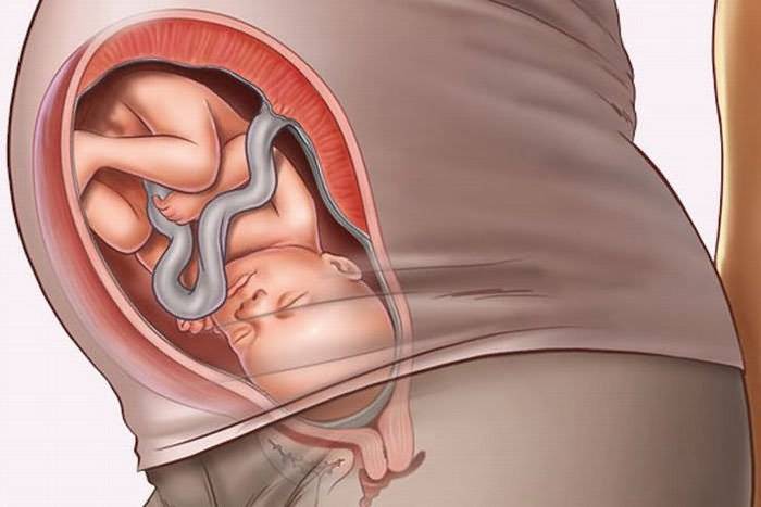 Первый месяц беременности: живот, симптомы, как развивается плод - agulife.ru