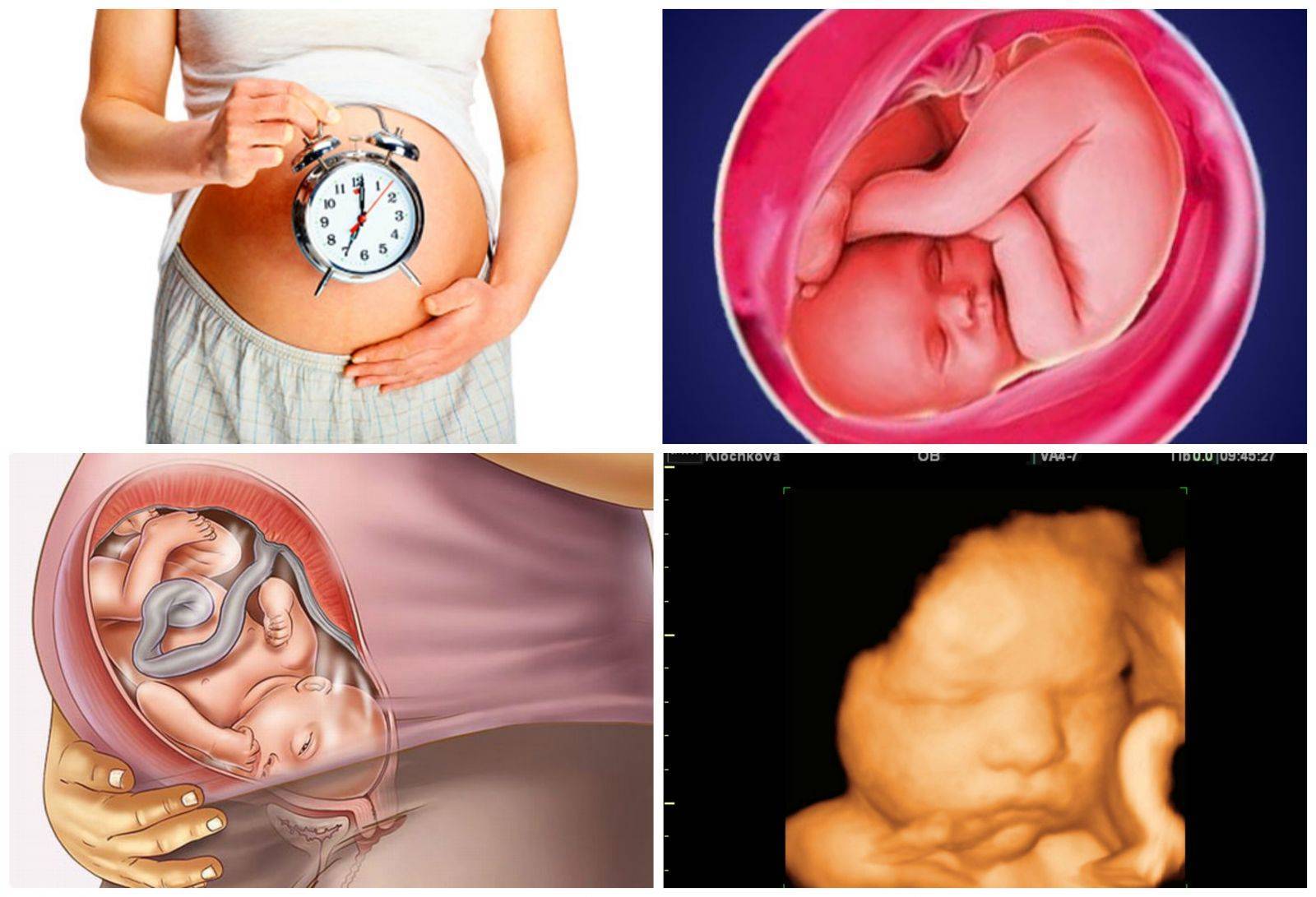 Что происходит с мамой и малышом во время 36 недели беременности, опасны ли роды на этом сроке?