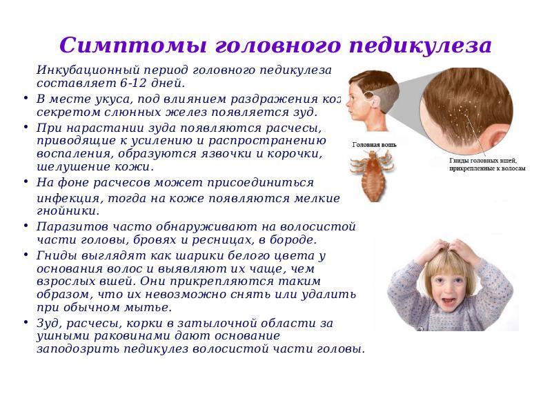 Средства от педикулеза – список, правила применения, отзывы. какие средства подходят для лечения ребенка, как избавиться от вшей и гнид