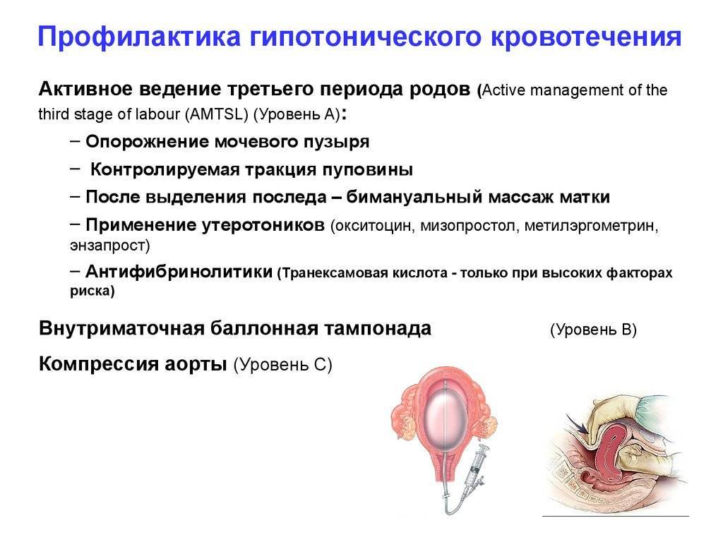 Кровопотеря и кровянистые выделения: причины, опасности и способы устранения * клиника диана в санкт-петербурге