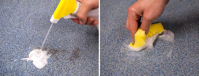 Как избавиться от запаха кошачьей мочи на ковре - 15 способов, как вывести запах в домашних условиях