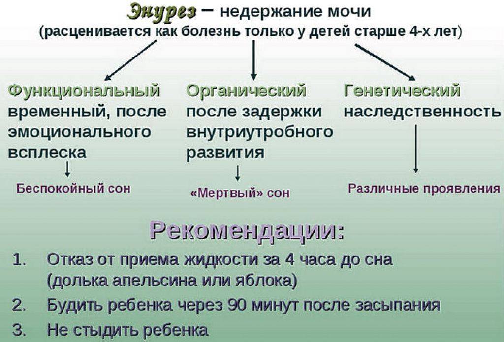 Энурез (ночное недержание мочи) у детей. - доказательная медицина для всех