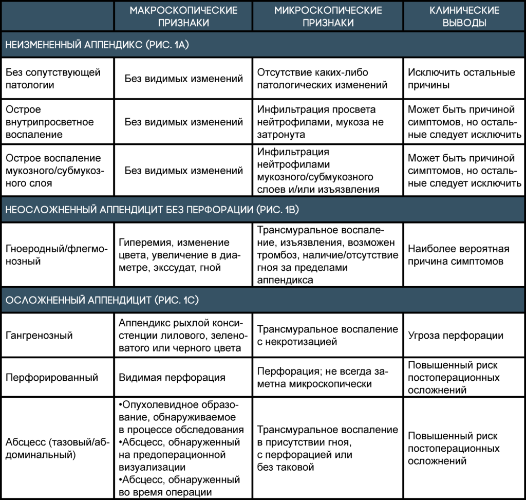 Как проверить аппендицит у взрослого. Основные симптомы острого аппендицита хирургия. Симптомы аппендицита таблица. Стадии воспаления аппендикса. Характерные симптомы при остром аппендиците.