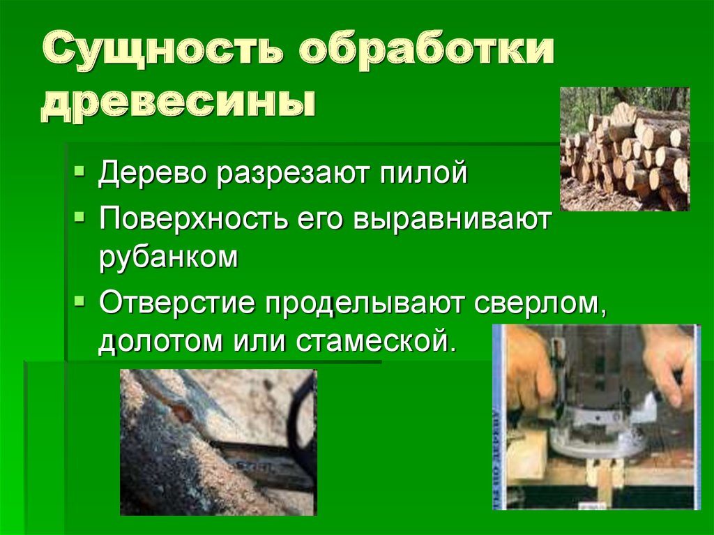 Профессия связанная с производством и обработкой древесины. Технология обработки древесины. Профессии с обработкой дерева. Биологическая обработка древесины. Профессии связанные с обработкой древесины.