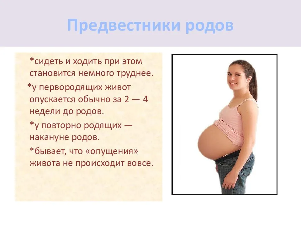 За какое время до родов затихает малыш и перед родами ребенок затихает или активный или как ведет себя ребенок перед началом родов: нормы и повод поволноваться