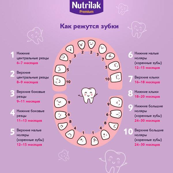 Первые зубки у грудничков когда начинают расти схема и их симптомы