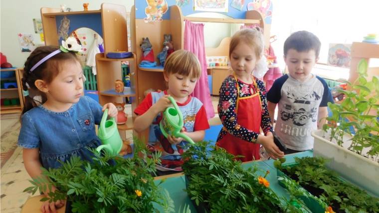 Экологическое воспитание в детском саду, разработка проекта по экологии и прочее