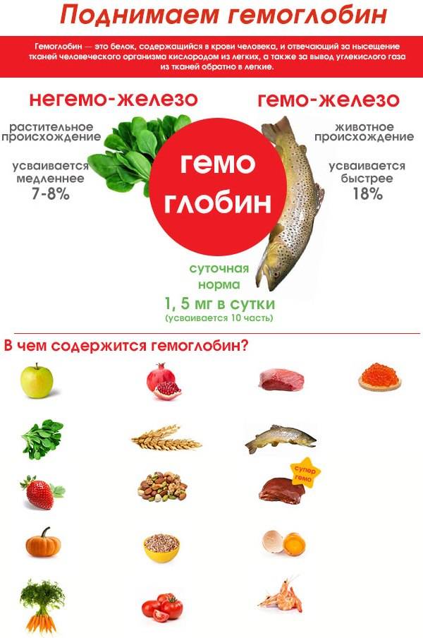 Низкий гемоглобин в крови — причины и способы повысить