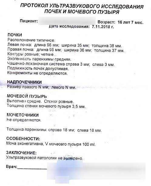 Узи мочевого пузыря подготовка к исследованию. Протокол исследования почек и мочевого пузыря УЗИ. УЗИ почек и мочевого пузыря заключение. Протокол ультразвукового исследования мочевого пузыря. УЗИ почек мочевого пузыря протокол УЗИ.