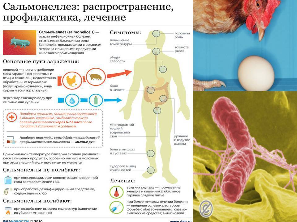 Сальмонеллез у детей – симптомы