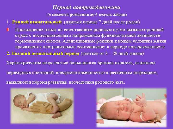Анатомо-физиологические особенности новорожденных - обуз "родильный дом № 1" г. иваново