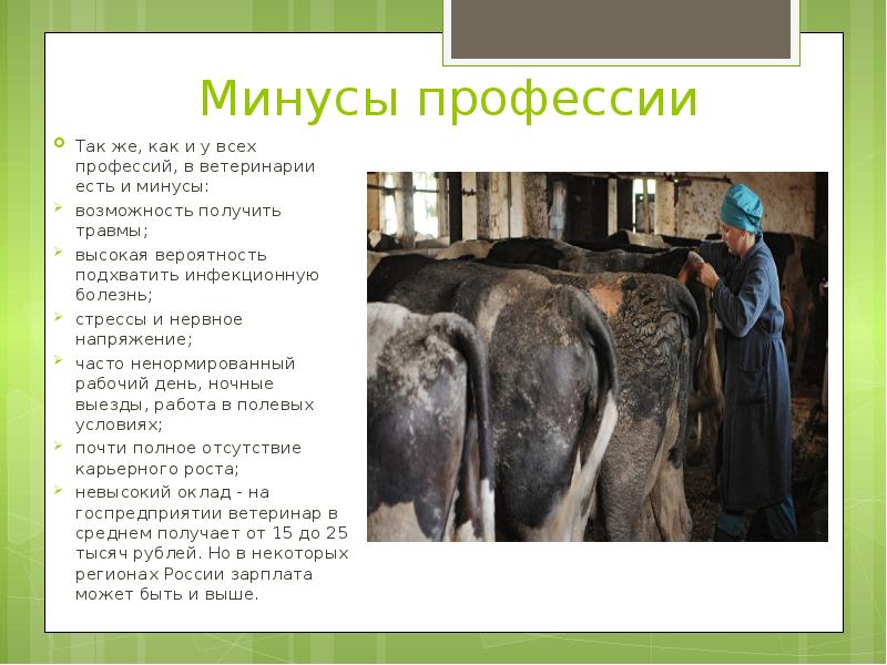 Ветеринар - описание профессии, образование и обучение