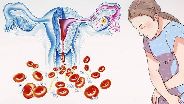 Лечение нарушения менструального цикла - медицинский центр семейного здоровья