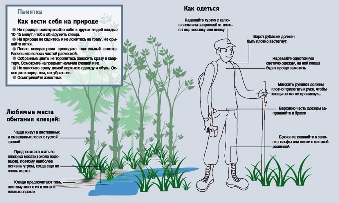 Как защититься от клещей на природе, как они нападают на человека и чем их отпугнуть?