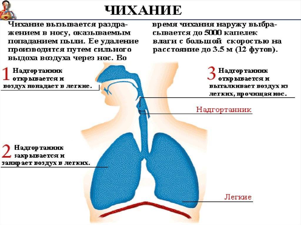 Почему могут возникать хрипы у грудного ребенка при дыхании? - medboli.ru