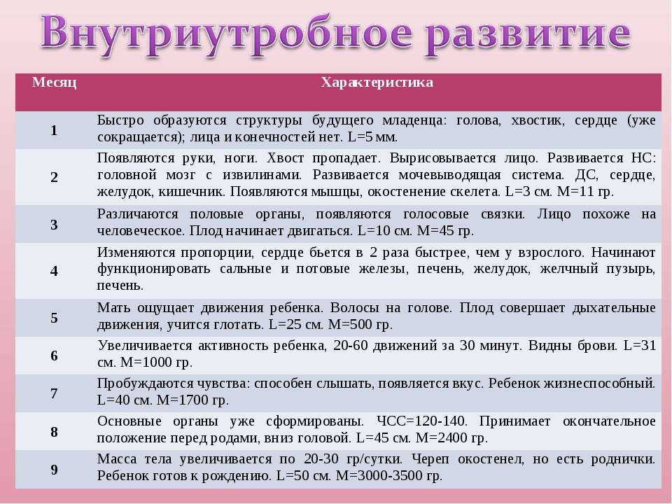 Внутриутробное развитие ребенка по неделям беременности - гбуз "кореновская црб" мз кк