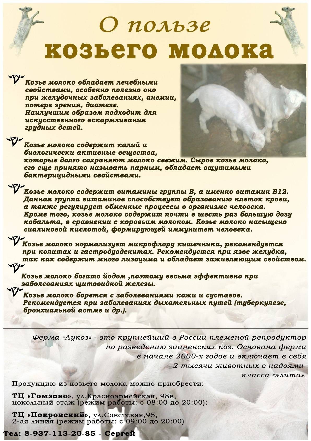 Козье молоко: польза и вред для мужчин, женщин и детей