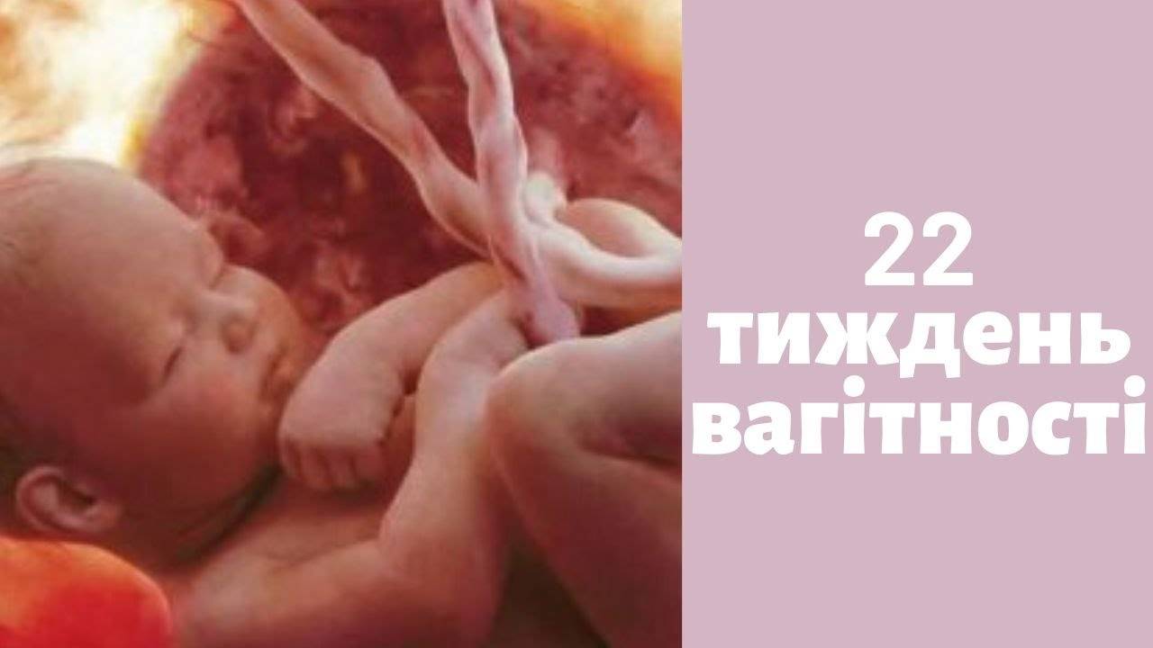 21 неделя беременности: что происходит с малышом и мамой | развитие плода на 21 неделе беременности: шевеления, боли и ощущения