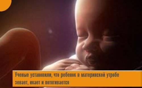Что чувствует ребенок в утробе, когда мама плачет, может ли плод испытывать боль?