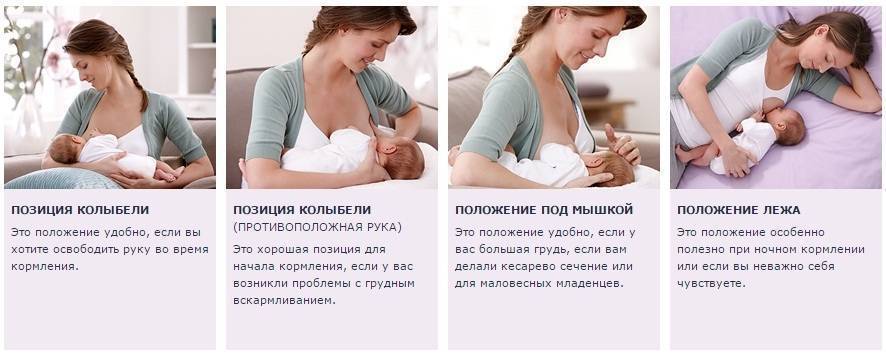 Позы для кормления грудного ребенка (грудью): как правильно кормить | ripa-russia.ru