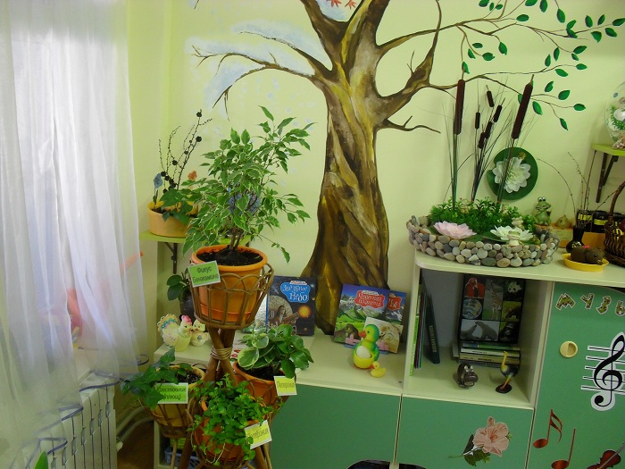Уголок природы в детском саду