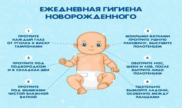 Утренний туалет новорожденного: как умывать, чем обрабатывать складочки (алгоритм)