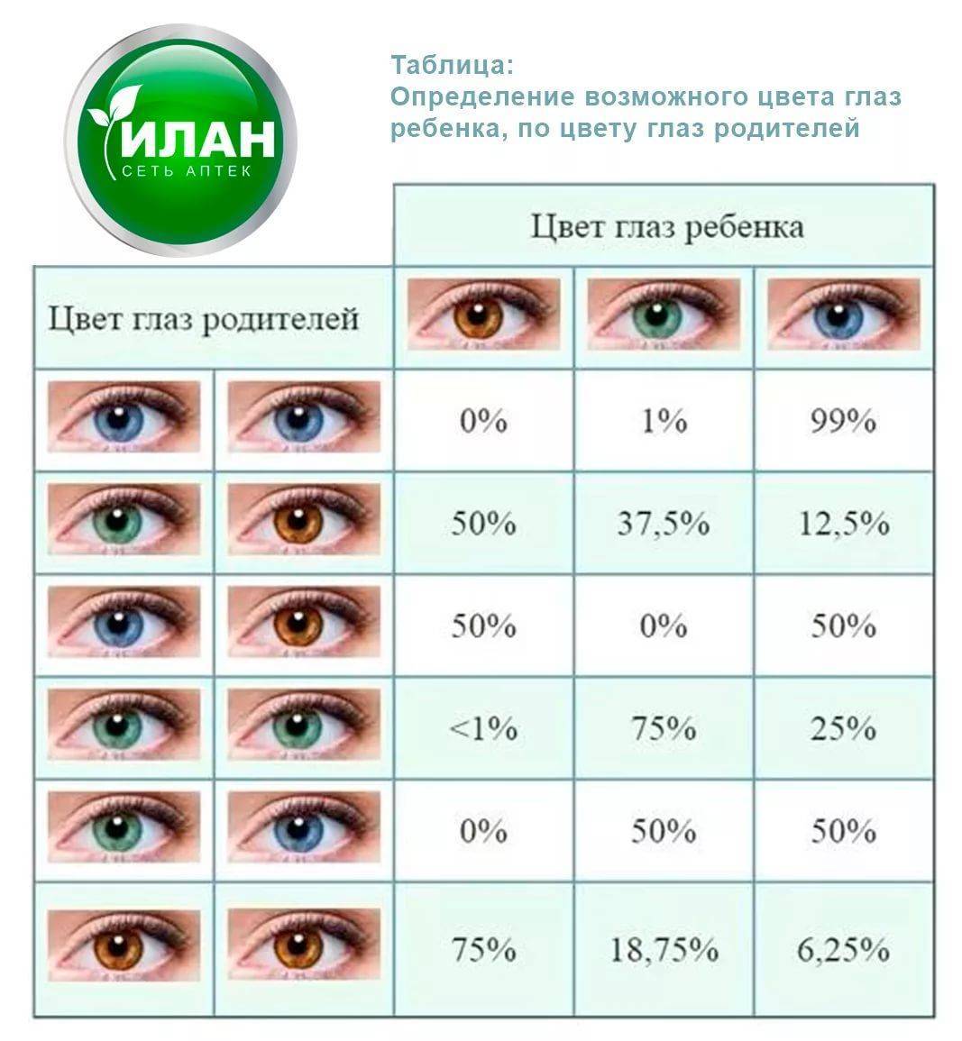 Как узнать цвет глаз будущего ребёнка. наследование цвета глаз у человека: формирование и закономерности