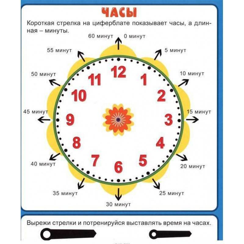 Как научить ребенка определять время по часам со стрелками? как объяснить ребенку времена года?