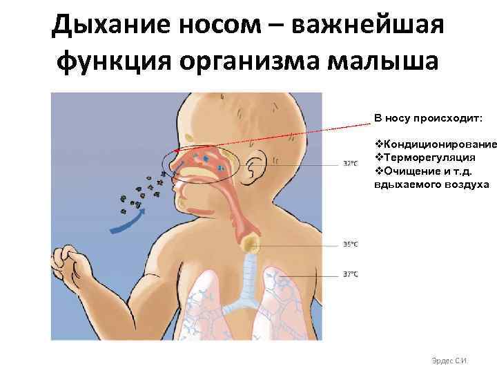 Дыхание через рот через нос. Последствие ротового дыхания для ребенка. Причины ротового дыхания у детей. Ротовой Тип дыхания у детей. Дыхание через рот последствия.