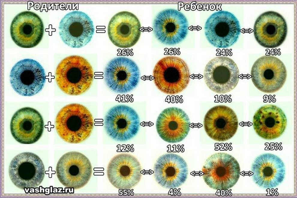 Когда меняется цвет глаз у новорожденных: возраст, таблица