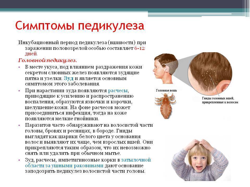 Лишай у ребенка - симптомы, диагностика и лечение | детский дерматолог см-клиника