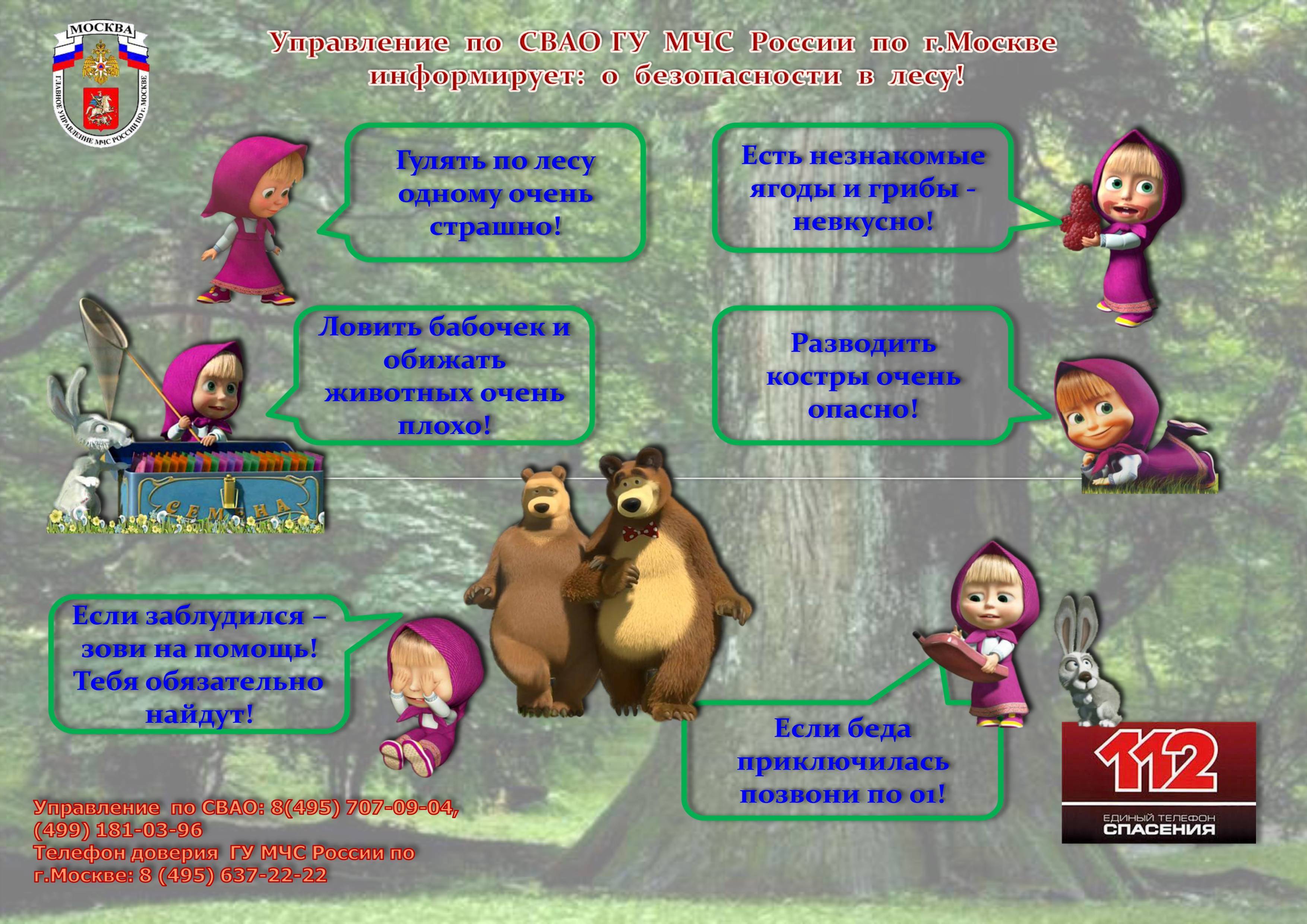 Картинки поведение в лесу для детей – правила поведения в лесу в картинках для дошкольников - club-detstvo.ru
