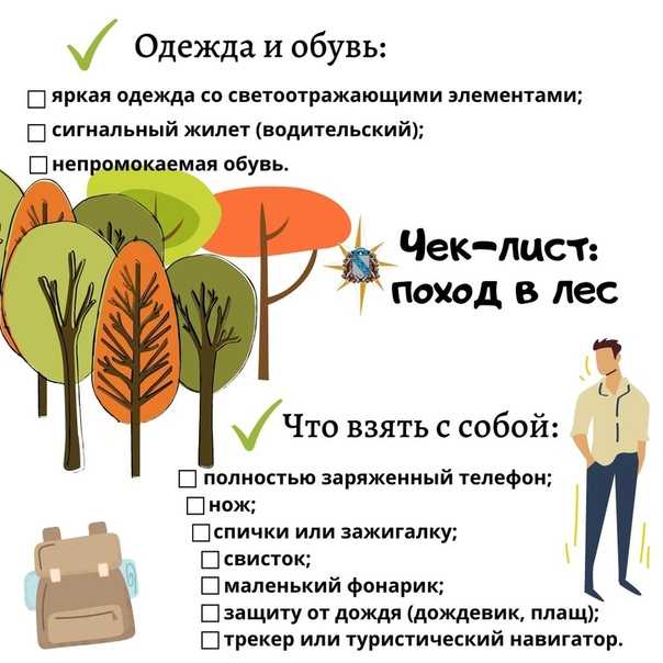 Правила поведения в лесу для детей