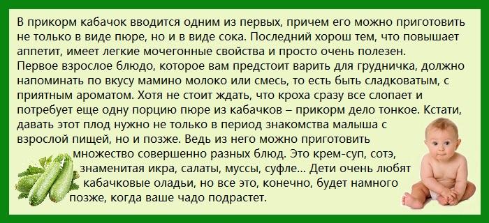Кабачки для грудничка: готовим пюре для прикорма — моироды.ру