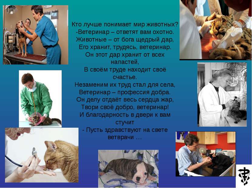 Профессии, связанные с животными: список, описание и особенности