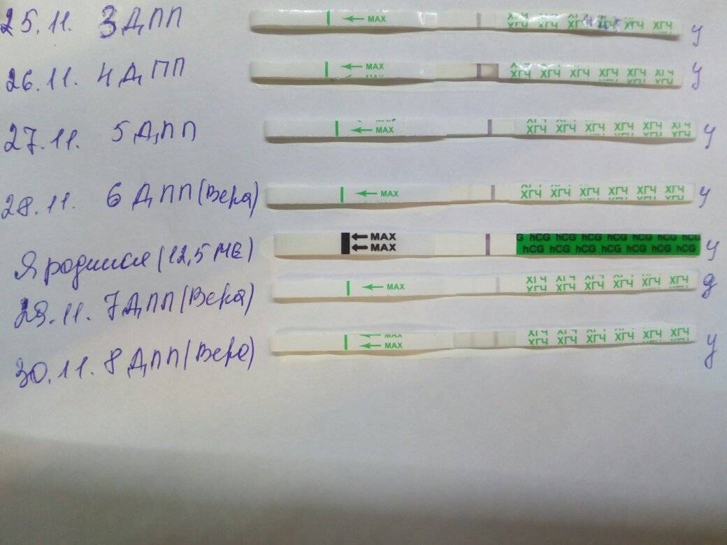 9 день после. 6 ДПП эмбрион ХГЧ. ХГЧ на 6 ДПП. ХГЧ на 6 день после переноса. Тесты на ХГЧ после переноса эмбрионов по дням.