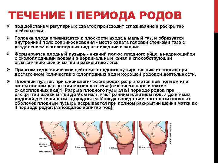 Поясница перед родами. Периоды родов раскрытие. Период раскрытия в родах. Схватки родовой деятельности. Периоды родов по раскрытию шейки матки.