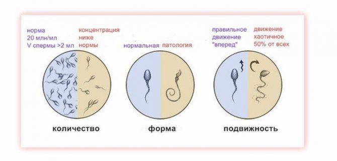 Забеременеть от смазки мужчины: можно или это вымысел?