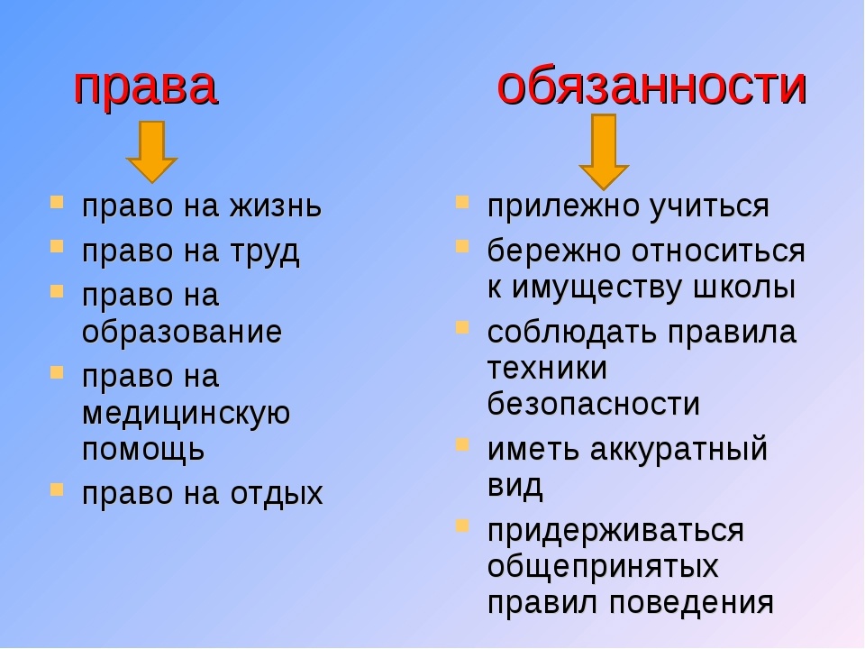 Домашнее или семейное обучение: в чем разница, плюсы и минусы