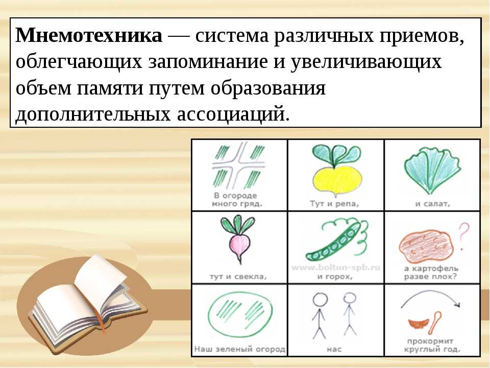 Мнемотехника для начинающих: технология, принципы, методы и приемы, упражнения для развития памяти взрослых, школьников и малышей