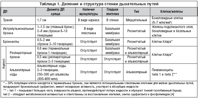 Схема лечения острого бронхита у взрослых