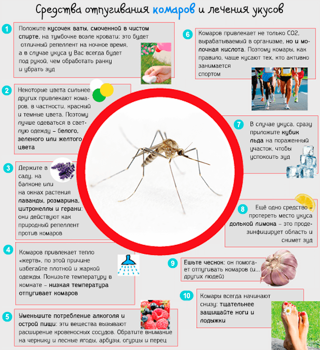 Чем мазать укусы комаров ребенку: какие средства безопасны и эффективны для детей разного возраста?
