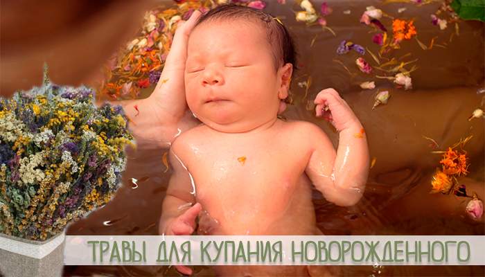 Купание ребенка в травах: какие травы можно заваривать, травы для новорожденного