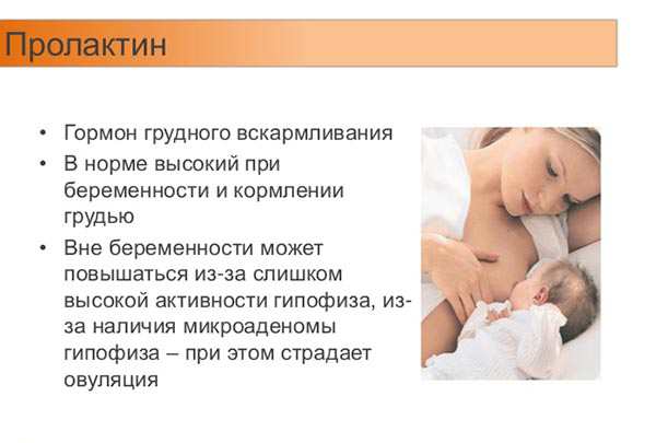 Планирование беременности после беременности, подготовка к зачатию ребенка после замершей беременности или выкидыша