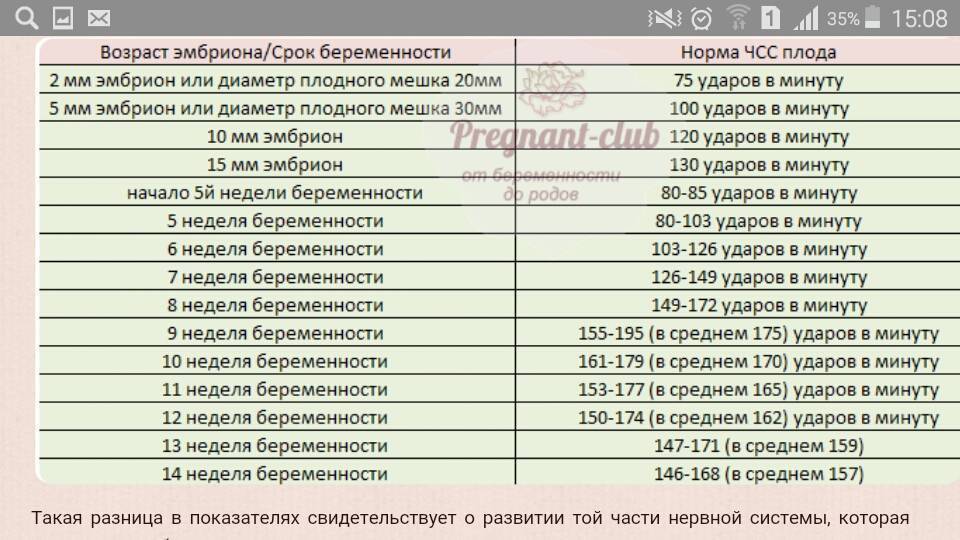 Таблица сердцебиения плода по неделям. норма, когда появляется, как определить пол - medside.ru