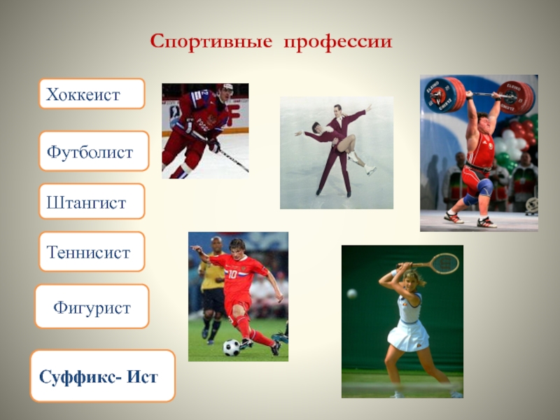 Профессии связанные со спортом