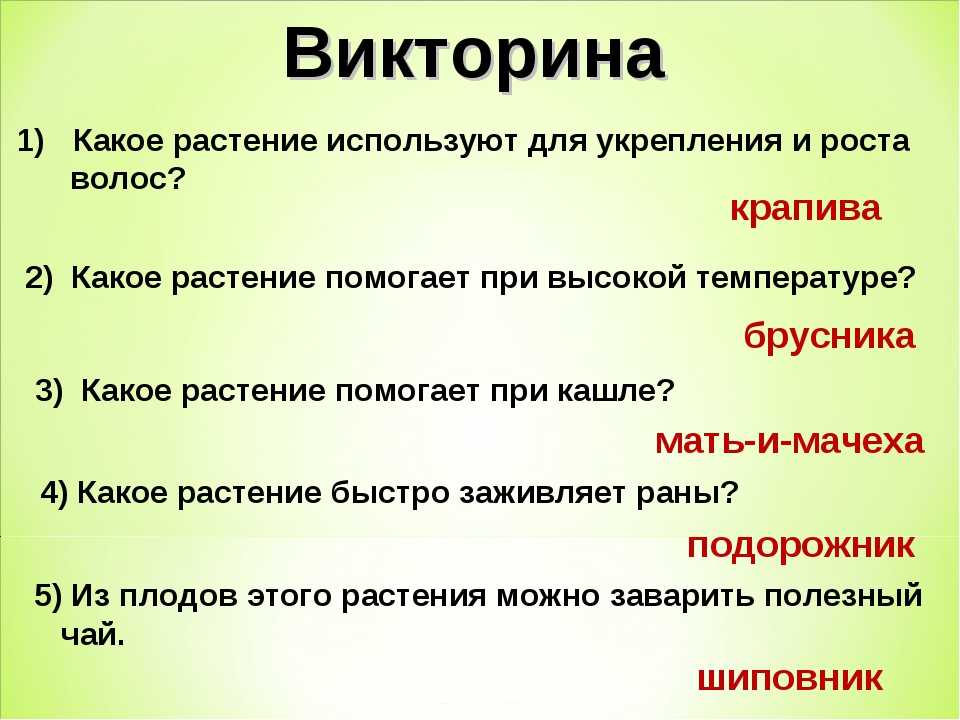 Викторина «лекарственные растения»: с ответами